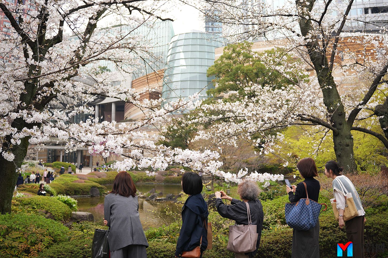 东京一些最好的公园和花园