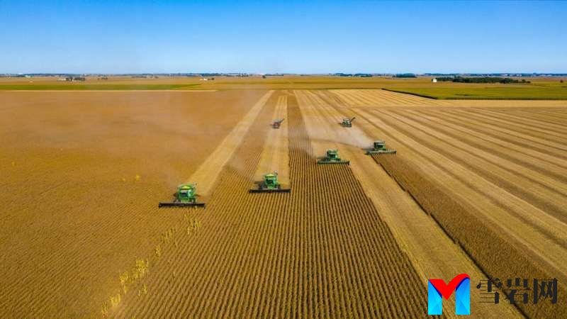 地理学家为政府提出了帮助消费者降低食品杂货成本的方法