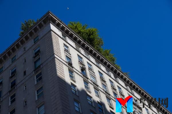 A view of the building with trees at the top