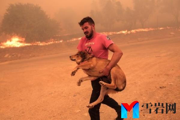 epa10813349 A farmer rushes to evacuate his dog during a wildfire at the area of Fyli near Athens, Greece, 22 August 2023. A wildfire is in progress in Fyli, west Attica region. So far, 26 firefighters with 13 vehicles are operating, while air forces have also been mobilized. EPA/KOSTAS TSIRONIS
