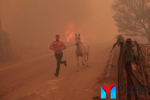 epa10813331 A farmer rushes to evacuate his horse during a wildfire at the area of Fyli near Athens, Greece, 22 August 2023. A wildfire is in progress in Fyli, west Attica region. So far, 26 firefighters with 13 vehicles are operating, while air forces have also been mobilized. EPA/KOSTAS TSIRONIS