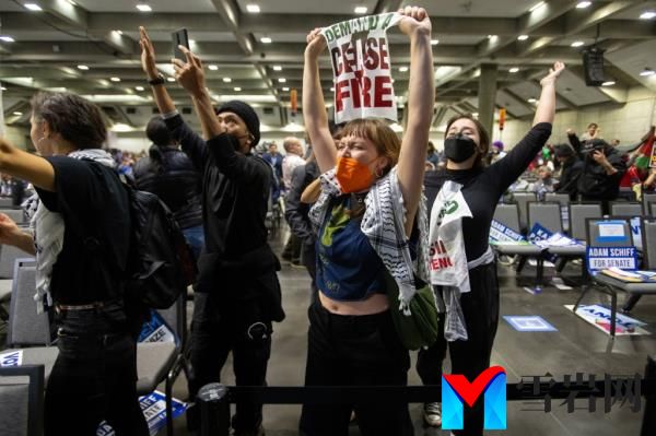 Pro-Palestinian protesters