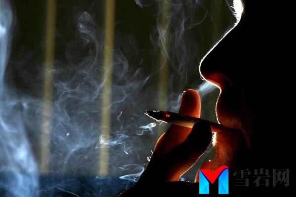 拟议中的禁烟措施将如何发挥作用？