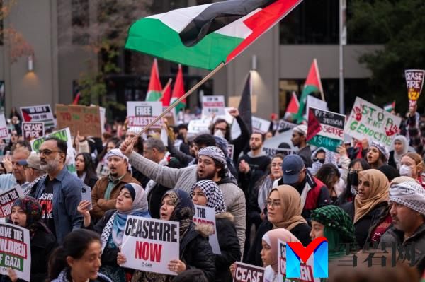 Pro-Palestinian protesters