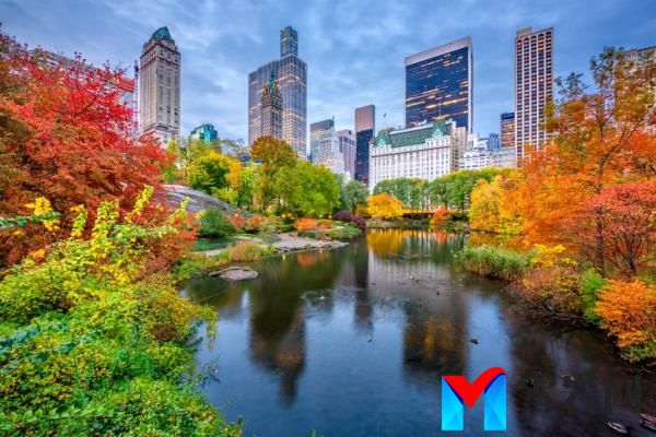  The Upper East Side saw a 39.2% year-over-year increase. 