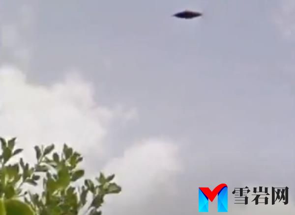 People co<em></em>nvinced Google Maps has captured a UFO flying over Bermuda