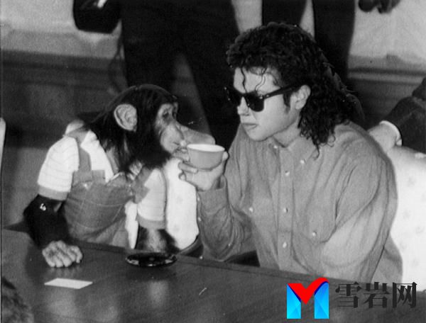 Michael Jackson sharing a cup of tea with his pet monkey, Bubbles, in Osaka City Mayoral Hall, Japan, 1987