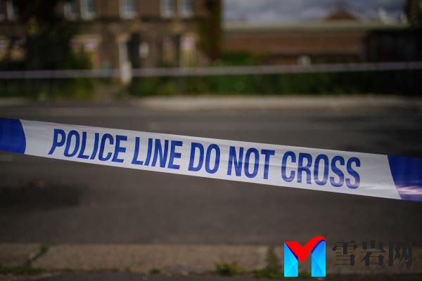 伦敦东南部一名男子被刺死，两人被捕