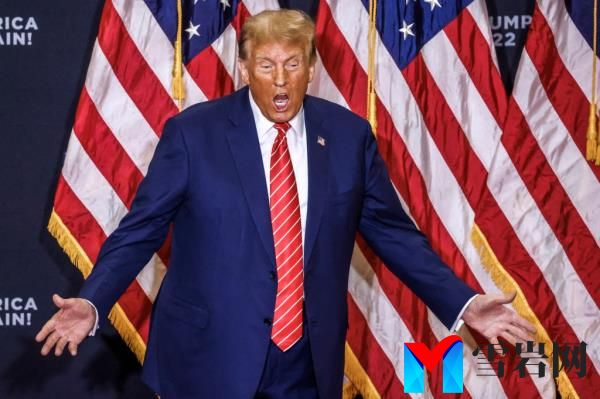 Do<em></em>nald Trump
