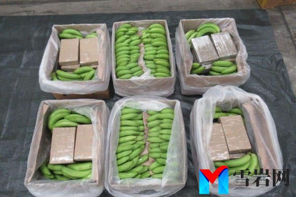 在港口的香蕉货物中发现了价值4.5亿英镑的最大一批可卡因