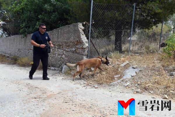A rescue dog was deployed in the search for Dr Michael Mosley.