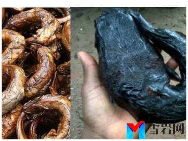 专家们主张采取严厉措施，因为肆无忌惮的商人使用杀虫剂来保存鱼类