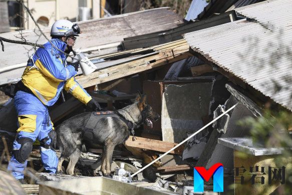 A police officer with a police dog searches for survivors at a collapsed house in Suzu.