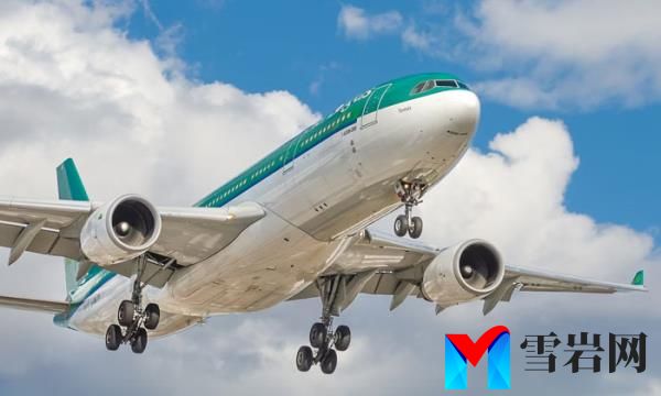 Woman Refuses To Switch Seats With A Man So He Can Sit With Family, Flight Attendant Intervenes