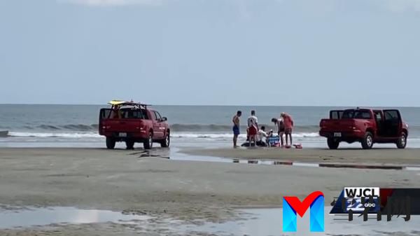 海滩游客惊恐地尖叫，“鲨鱼袭击了在海里划桨的人”