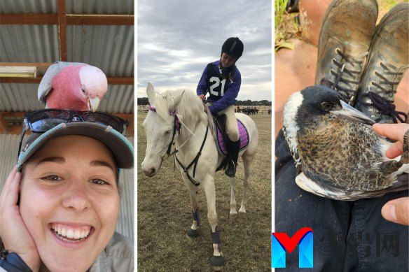 Georgia Seymour realised she wanted to work with animals after growing up on a hobby farm in Dongara.