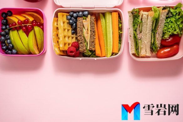 潘多拉的午餐盒：创造完美的学校午餐的压力